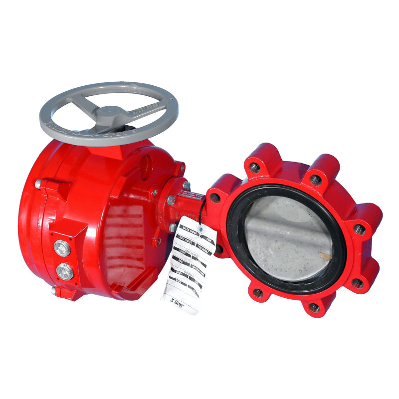 CL316SS Bray Butterfly Valve 6 in 175 psi