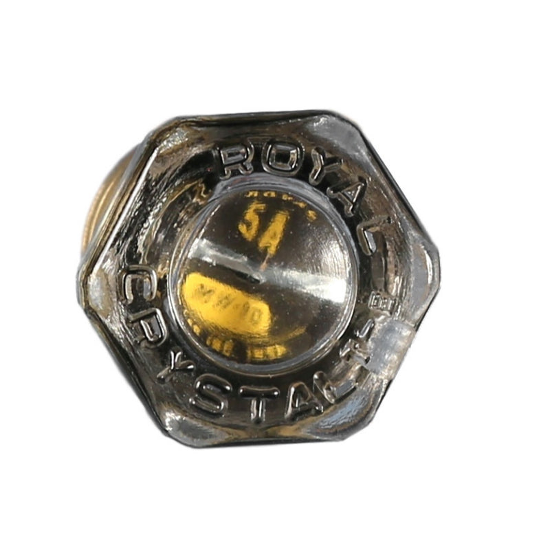 Fuse_Plug5 Littelfuse Glass Plug Fuse Male Screw Glass 5 A