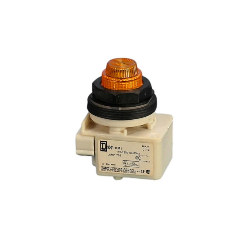 9001-SKP1A31
AMBER